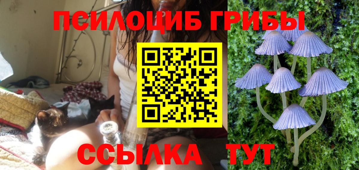 Псилоцибиновые грибы Psilocybine cubensis  Галлюциногенные грибы Psilocybine cubensis  цена   Вход с VPN  Ялуторовск 